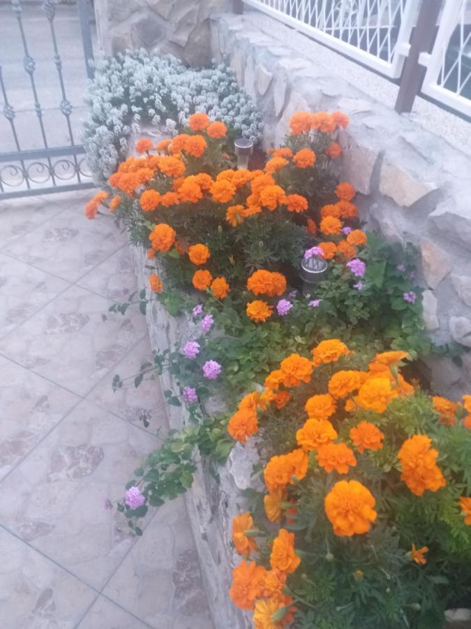 La Vita Apartment Šibenik Exterior foto